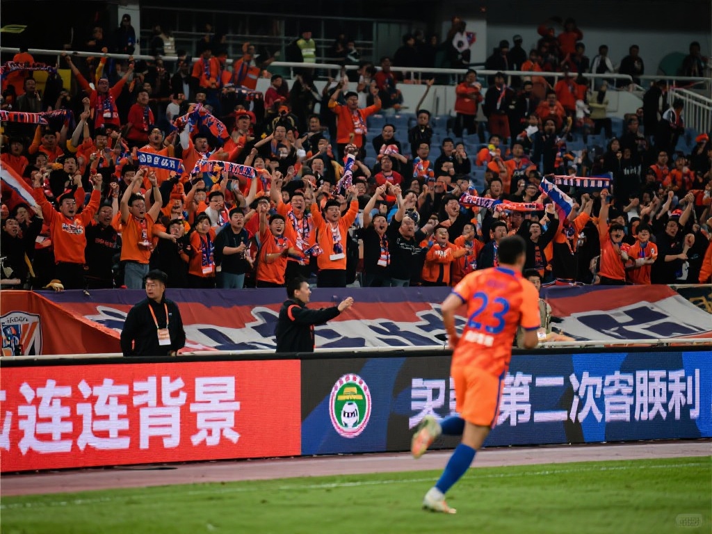 这些差异的 这些差异的